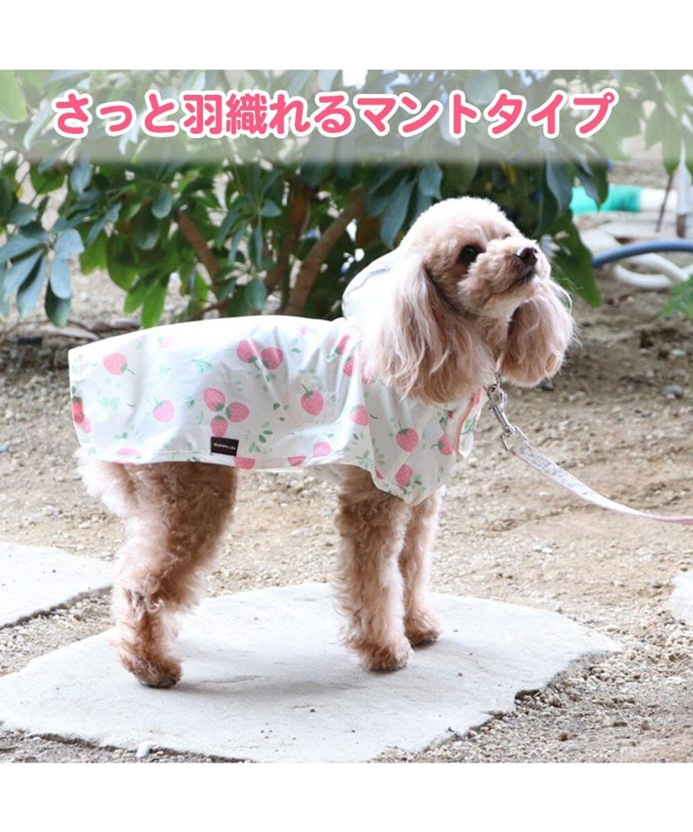 犬 レインコート 苺柄 レインマント 小型犬 ドッグウエア ドッグウェア イヌ おしゃれ かわいい Pet Paradise 通販 雑貨とペット用品の通販サイト マザーガーデン ペットパラダイス