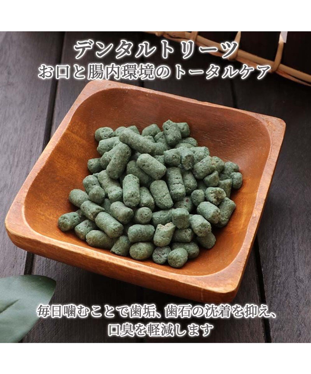 PET PARADISE ペットパラダイス プレミアムフード デンタルトリーツ 90g