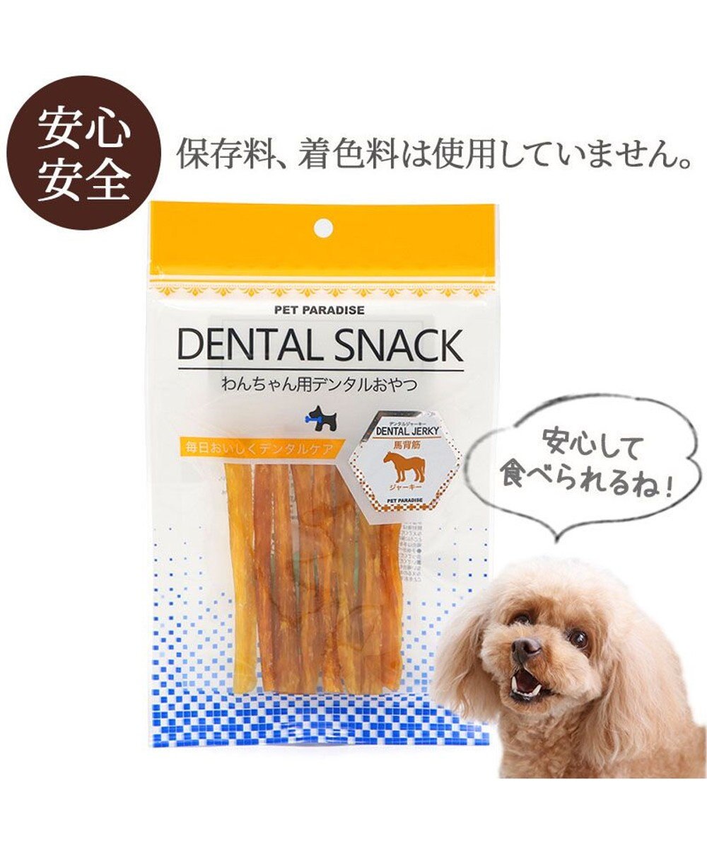 PET PARADISE 馬背筋デンタルジャーキー 40g 