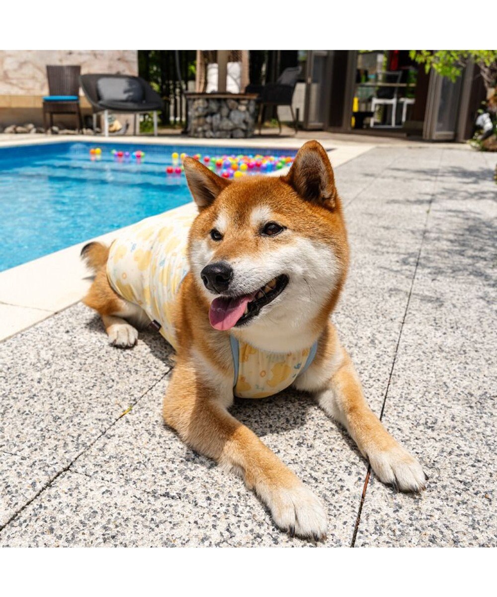 PET PARADISE ペットパラダイス タッチワンクールプラス キャミソール 《あひる》 中型犬 