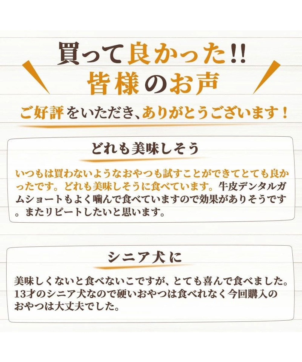 PET PARADISE ペットパラダイス 犬 おやつ デリスタイル8種類 鶏肉系セット