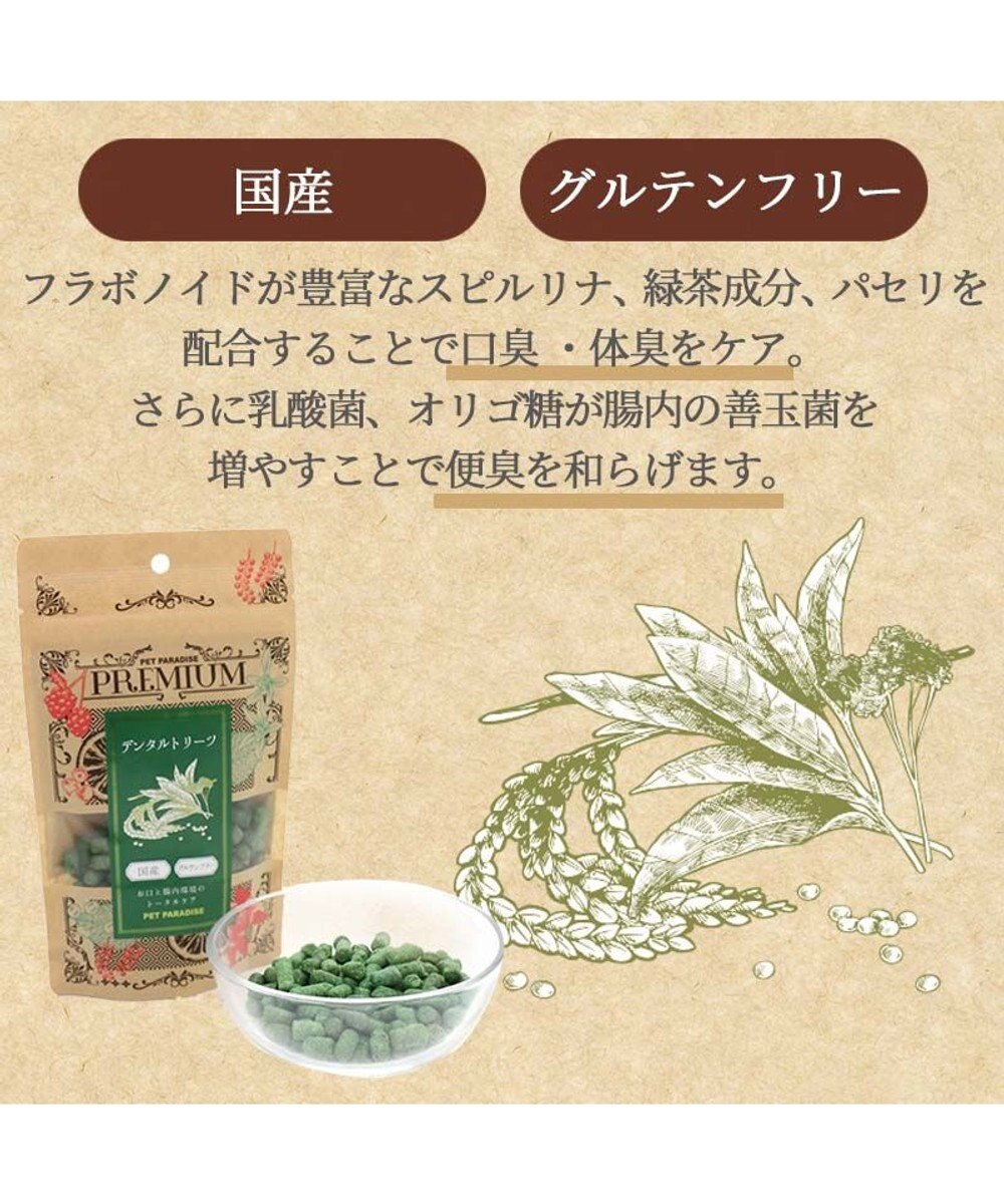 PET PARADISE ペットパラダイス プレミアムフード デンタルトリーツ 90g