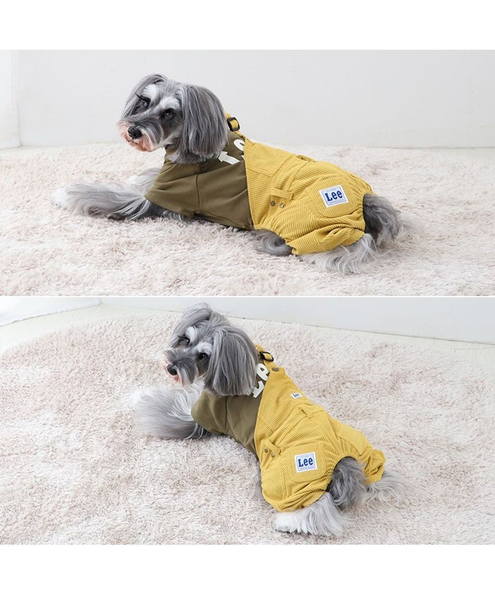 PET PARADISE Lee ワンショルダーパンツつなぎ  小型犬 