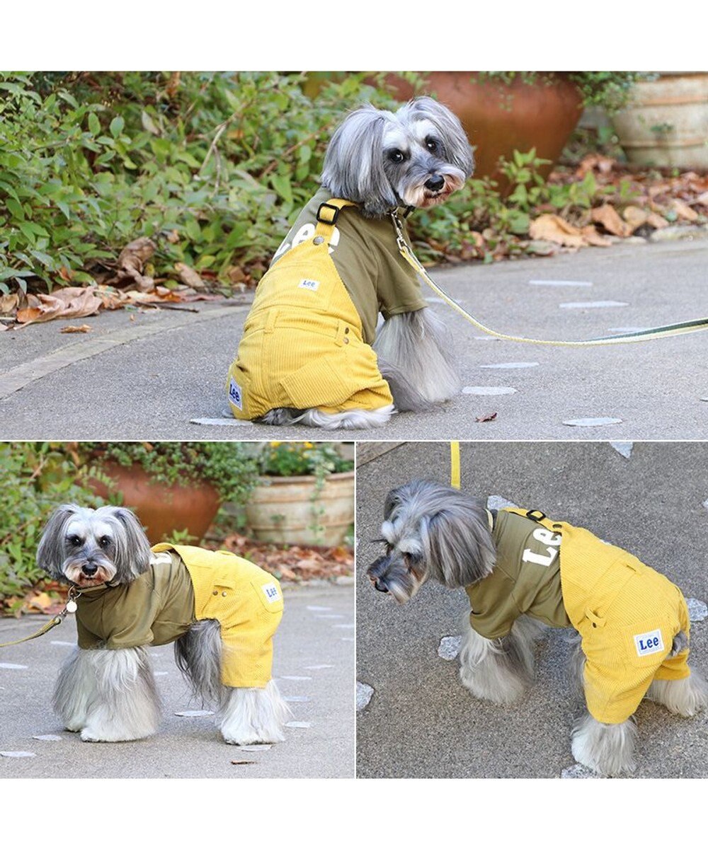 PET PARADISE Lee ワンショルダーパンツつなぎ  小型犬 
