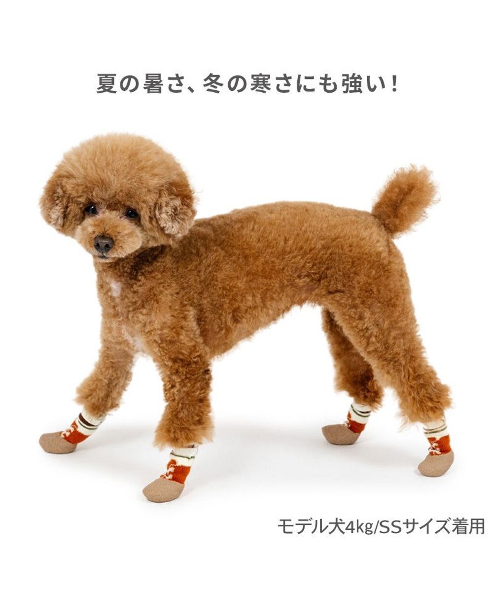 PET PARADISE ペットパラダイス ボーダー フィット靴 Ｓ 