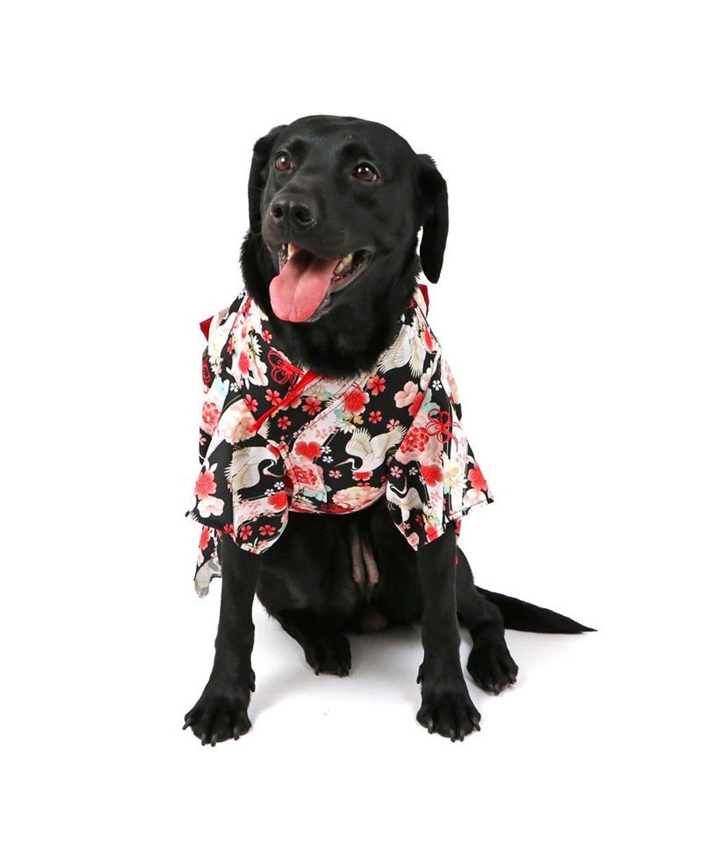 PET PARADISE ペットパラダイス 鶴華着物 中型犬 大型犬 