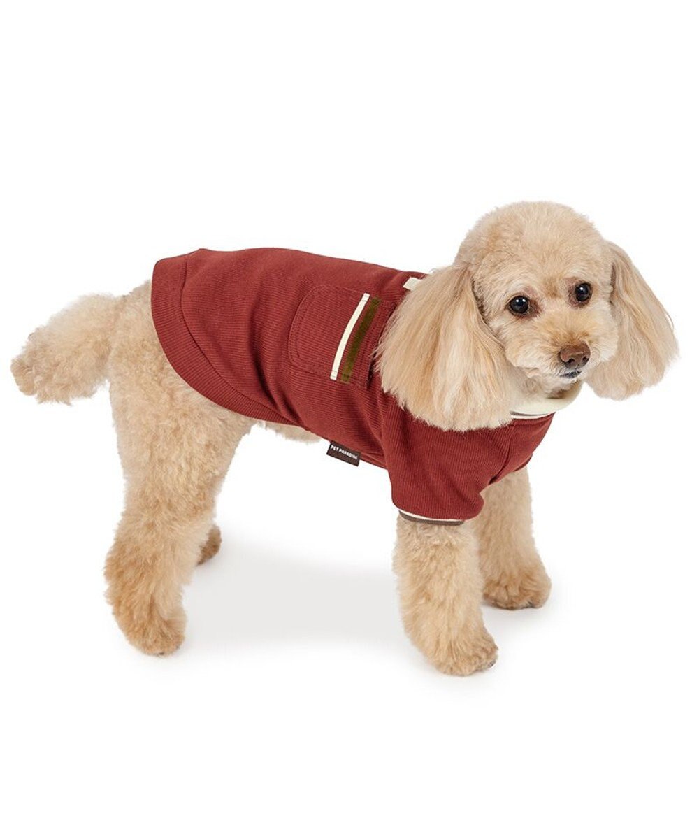 PET PARADISE ペットパラダイス  プレミアム ぺティヒート スキッパーTシャツ 小型犬