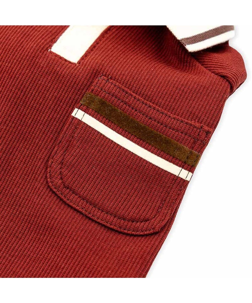 PET PARADISE ペットパラダイス  プレミアム ぺティヒート スキッパーＴシャツ 小型犬 