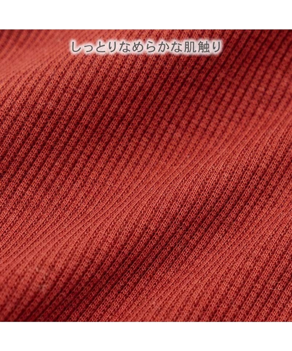 PET PARADISE ペットパラダイス  プレミアム ぺティヒート スキッパーTシャツ 小型犬