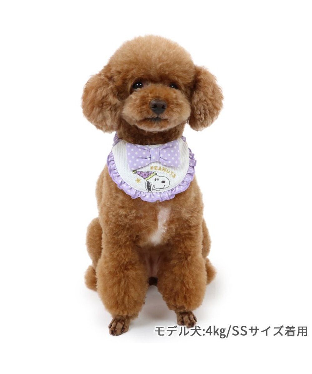 PET PARADISE スヌーピー スタイ 《お誕生日 パーティー柄》 小型犬