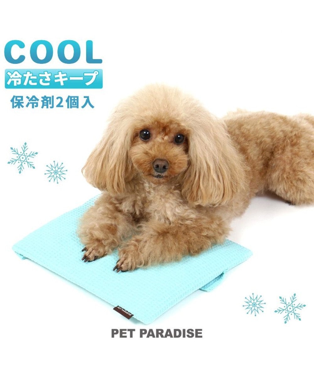 PET PARADISE ペットパラダイス ペットキャリー カート用 コンパクトクーラー (25×22cm) 水色