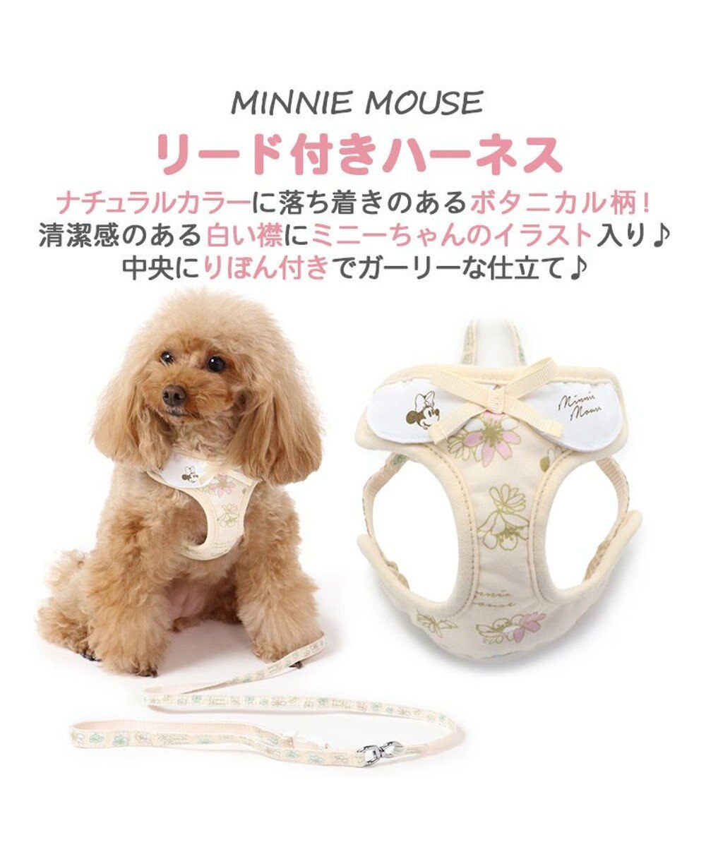 犬 ハーネスリード ディズニー ミニーマウス ハーネスリード ｓｓ 花柄 一体型 小型犬 Pet Paradise 通販 雑貨とペット用品の通販サイト マザーガーデン ペットパラダイス