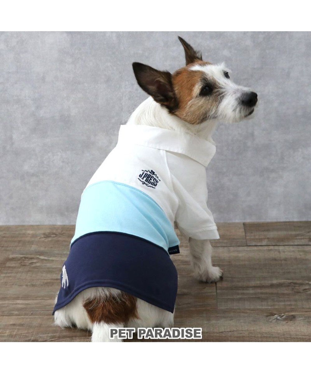 PET PARADISE J.PRESS スキッパーポロシャツ トリコロール 小型犬 ホワイト×ブルー