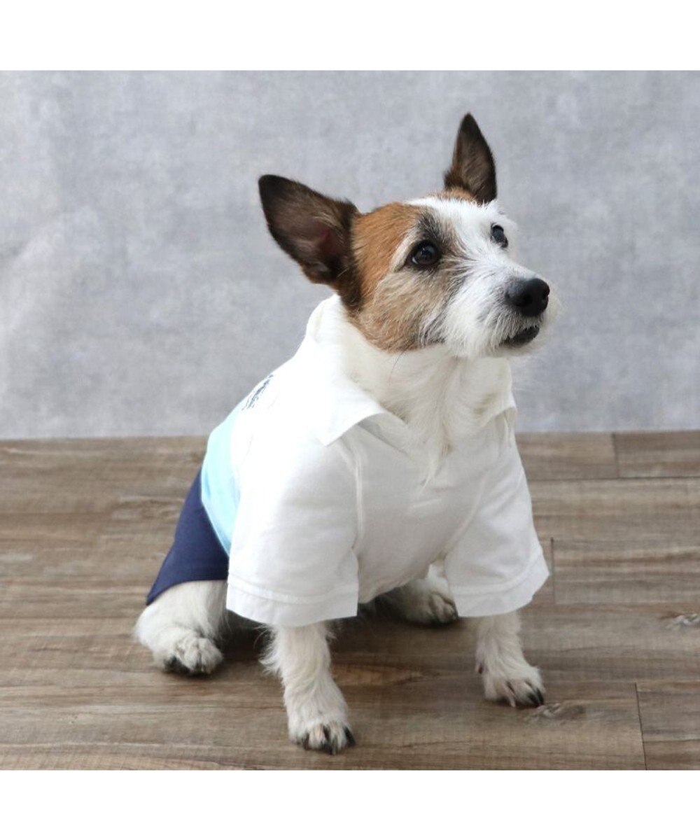 PET PARADISE J.PRESS スキッパーポロシャツ トリコロール 小型犬 