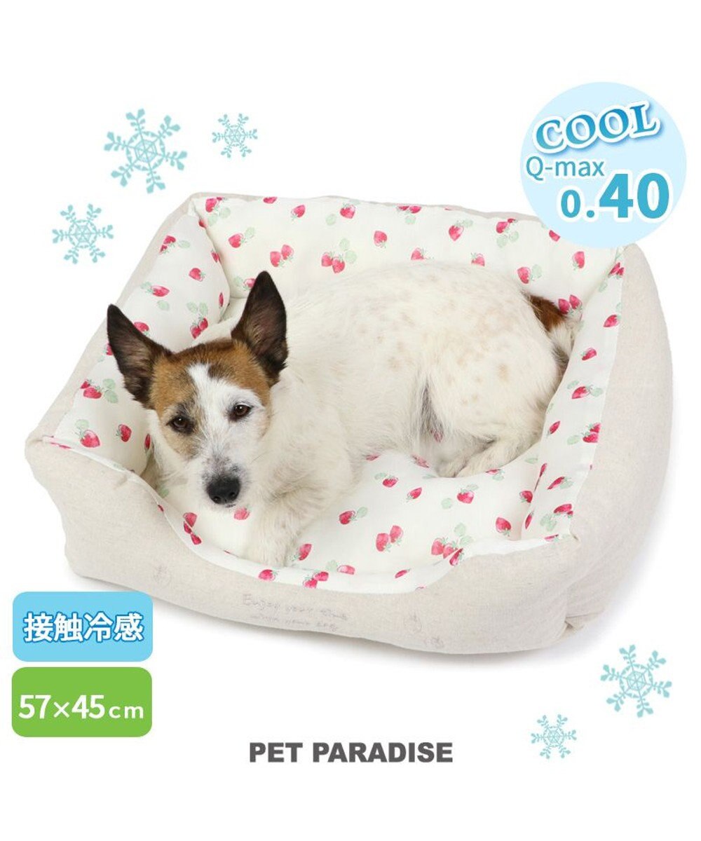 PET PARADISE ペットパラダイス 苺柄 接触冷感 クールカドラーベッド(57×45cm)