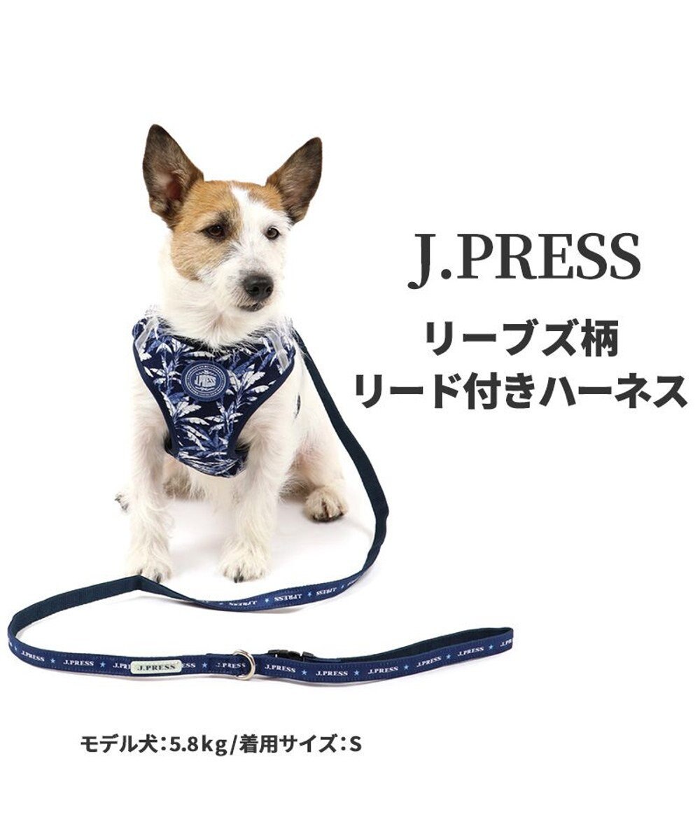 犬 ハーネス リード J.PRESS ハーネス＆リード 〔３Ｓ〕 リーブス 超