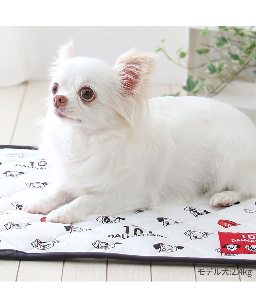 PET PARADISE ディズニー 101匹わんちゃん クール マット 小型犬 48×40㎝ 