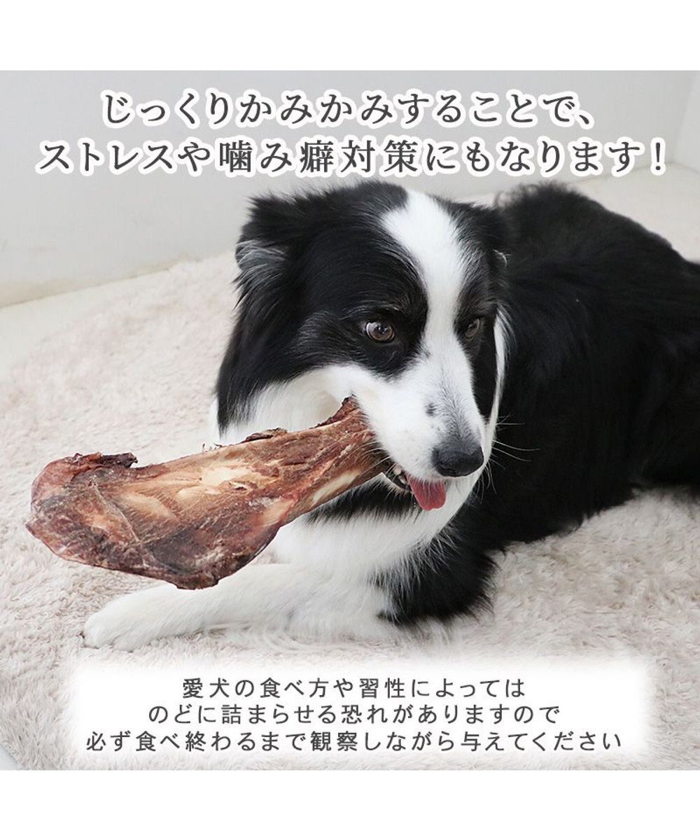 PET PARADISE 鹿 肩甲骨 デンタルおやつ Lサイズ×1本 純国産 