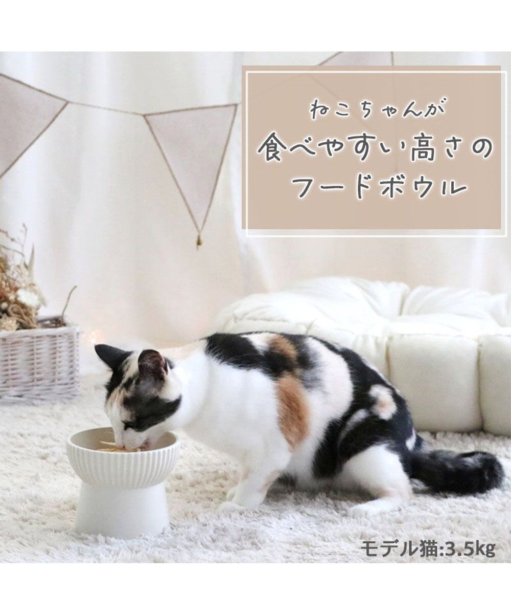 猫 フードボウル 陶器 斜め ホワイト ベージュ / PET PARADISE