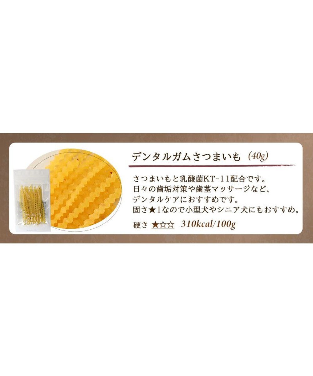 PET PARADISE 【賞味期限が1/1のため 半額】 デリスタイル デンタルガムさつまいも 