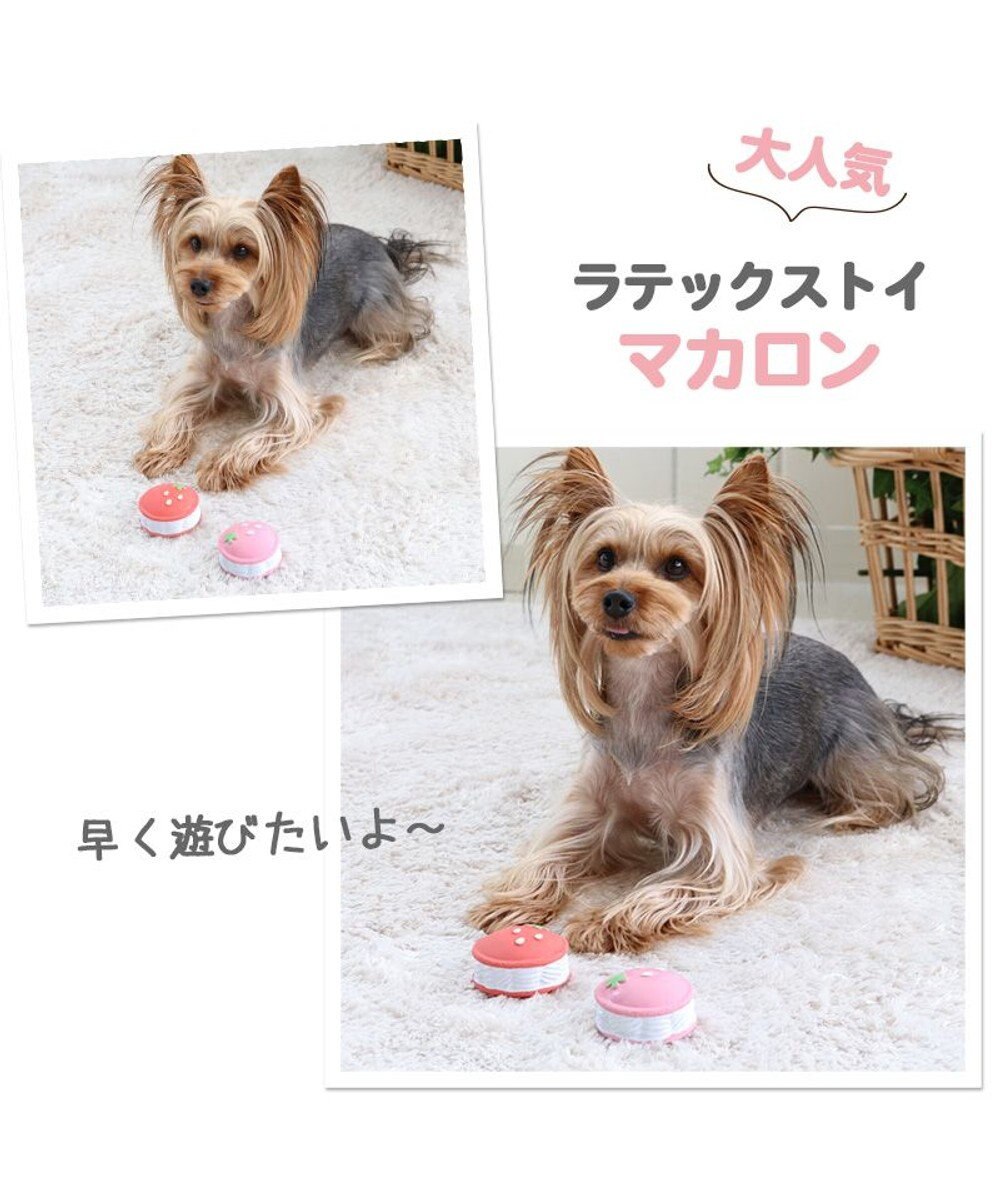 犬 トイ ｔｏｙ 苺 マカロン おもちゃ 犬 おもちゃ 犬 おもちゃ はみがき 噛むデンタルケア おうちで遊ぼう おうち時間 犬 おもちゃ オモチャ ペットトイ 玩具 Toy 小型犬 おもちゃ かわいい おもしろ インスタ映え Pet Paradise 通販 雑貨とペット用品の通販