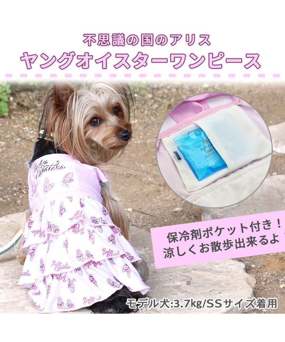 犬 夏服 ひんやり クール 保冷剤付き ディズニー ふしぎの国のアリス ヤングオイスター ワンピース 〔小型犬〕 ポケットクールグッズ ペットウエア  ドッグウエア ドッグウェア イヌ おしゃれ かわいい ひんやり 夏 涼感 冷却 吸水速乾 キャラクター / PET PARADISE ...