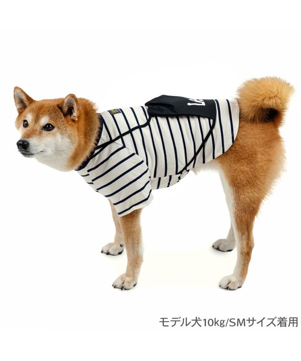 PET PARADISE Lee ナップサック付き Ｔシャツ 中型犬 大型犬 