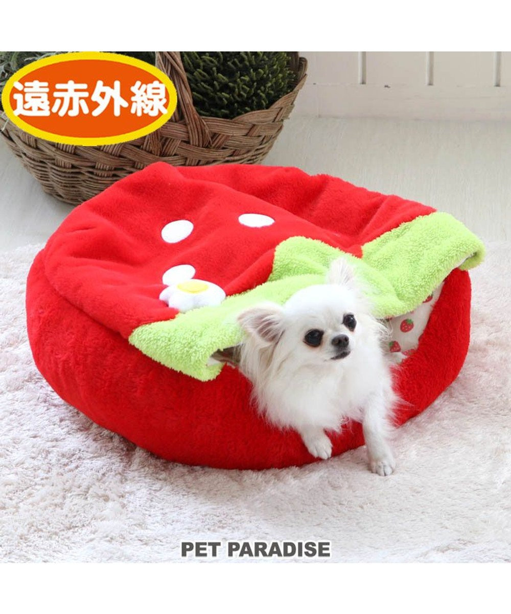 犬 ベッド おしゃれ 寝袋 カドラー 50cm いちご 丸型 赤 犬 猫 ベッド 小型犬 かわいい ふわふわ ネット限定 Pet Paradise 通販 雑貨とペット用品の通販サイト マザーガーデン ペットパラダイス 犬 ベッド おしゃれ 寝袋 カドラー 50cm いちご 丸型 赤 犬 猫 ベッド 小型犬 かわいい ふわふわ ネット限定 Pet Paradise 通販 雑貨とペット用品の通販サイト マザーガーデン ペットパラダイス