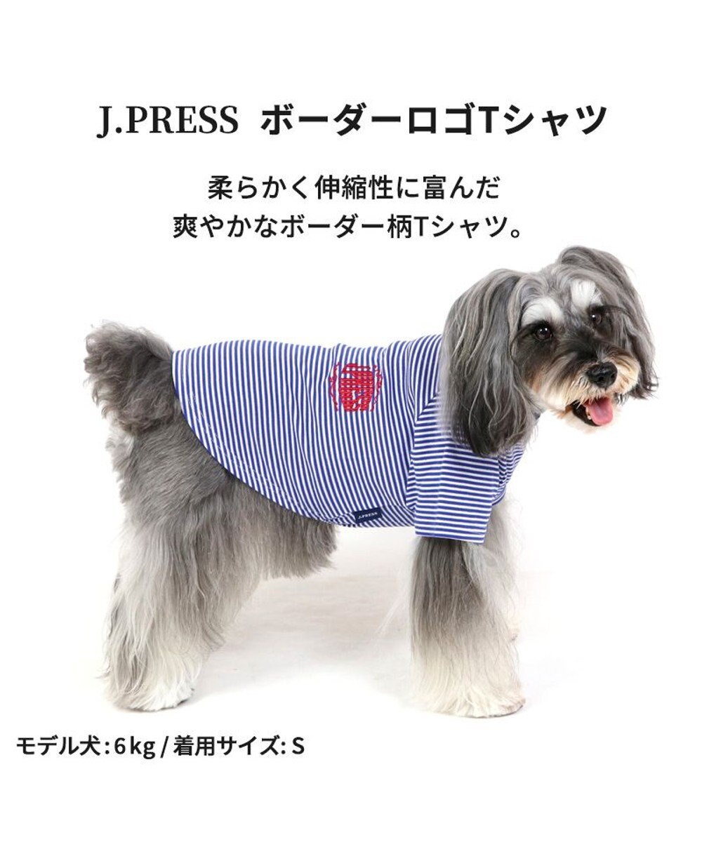 ペットパラダイスssサイズ冬服犬服まとめ売り ペットパラダイス - 5S｜Yahoo!ショッピング
