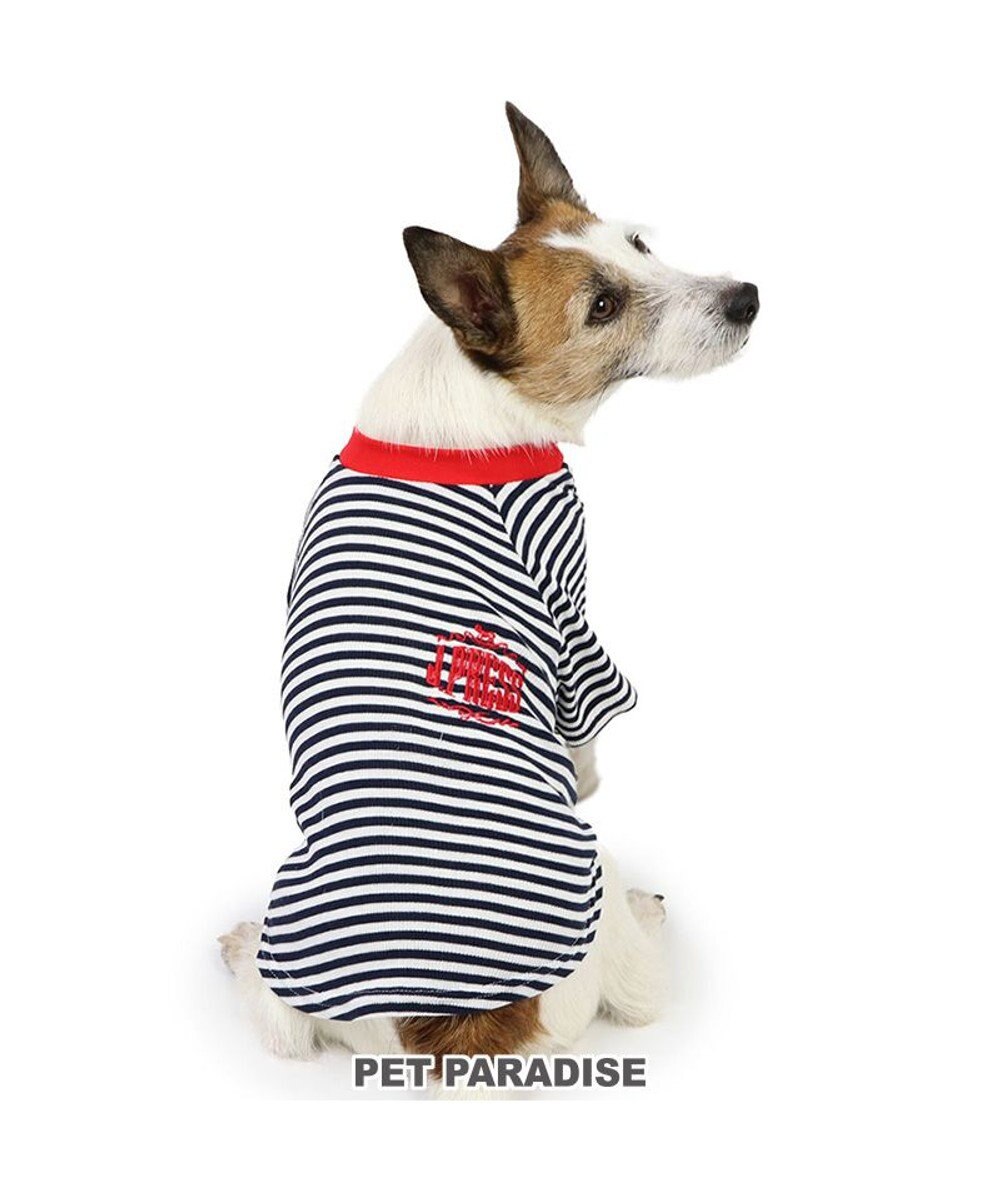 PET PARADISE J.PRESS ソフトボーダー Tシャツ 小型犬 ブラック