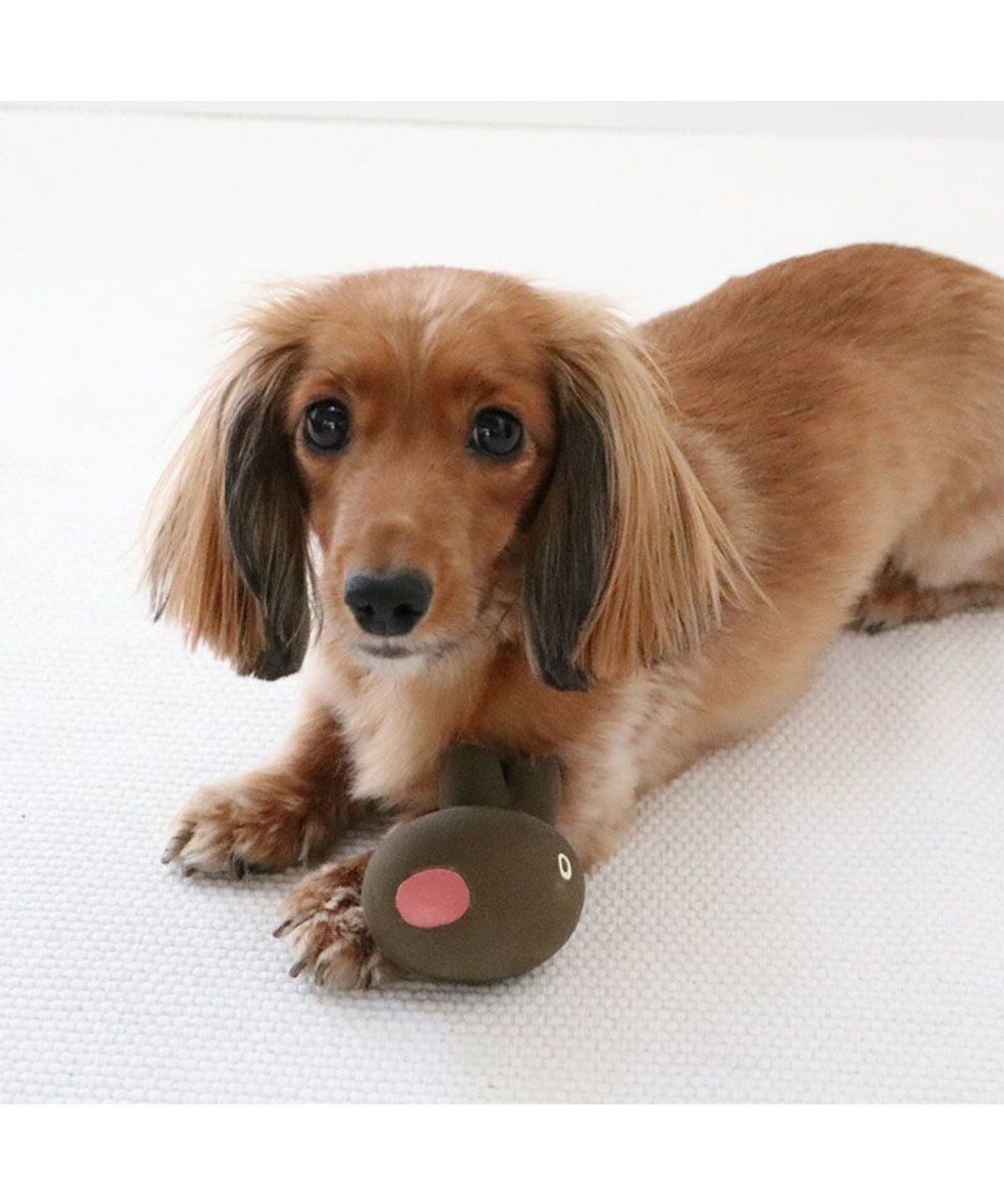 PET PARADISE リサとガスパール ラテックストイ 《ガスパール》 