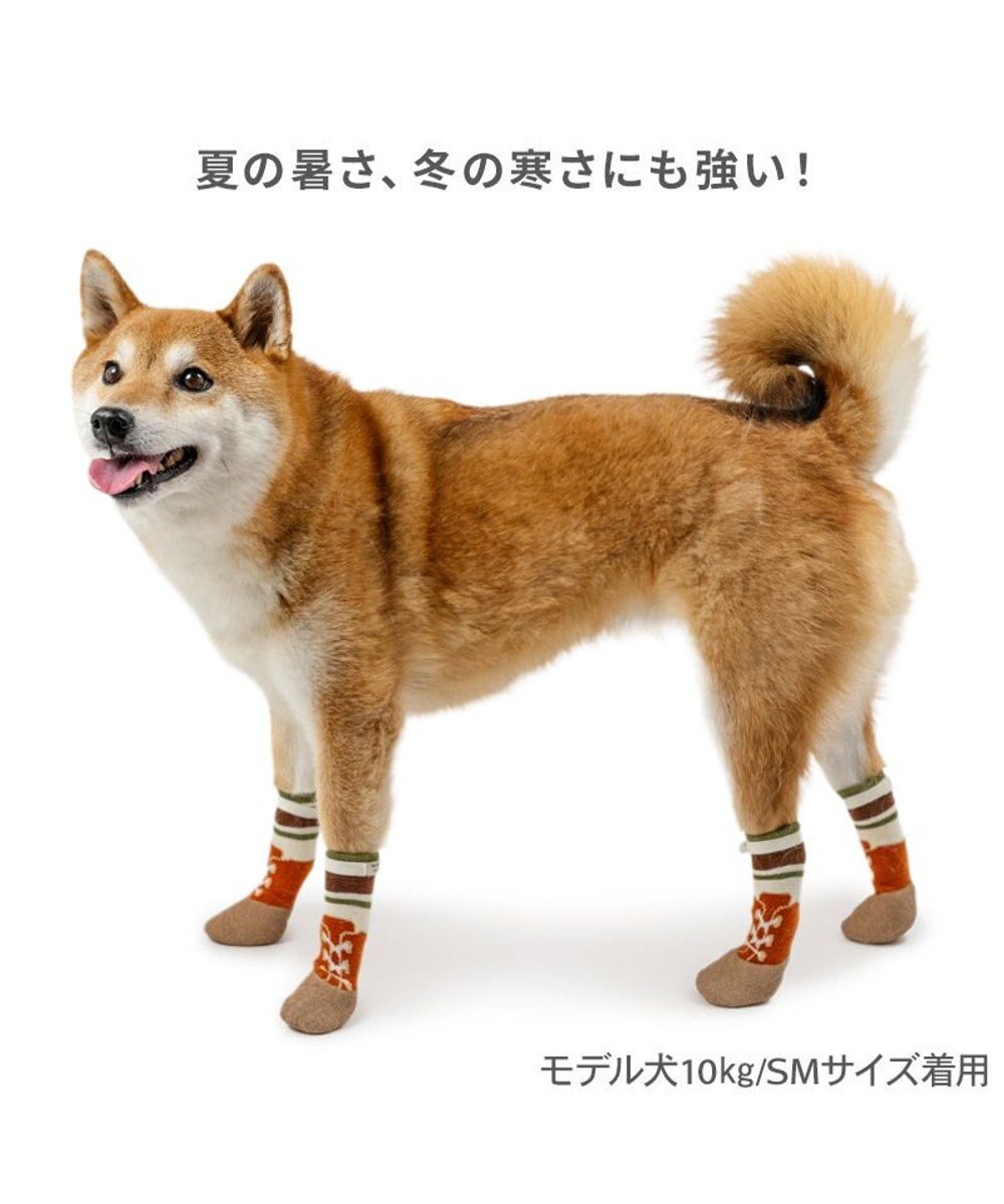 PET PARADISE ペットパラダイス ボーダー フィット靴 ＳＭ 
