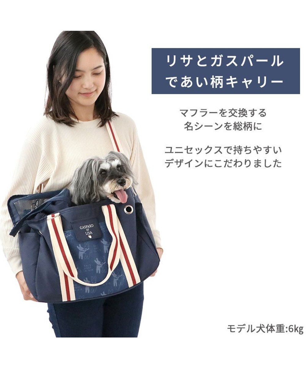 PET PARADISE リサとガスパール キャリーバッグ  であい柄 小型犬 