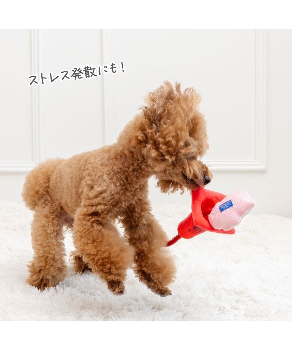 PET PARADISE ディズニー トイ・ストーリー ハム コーントイ