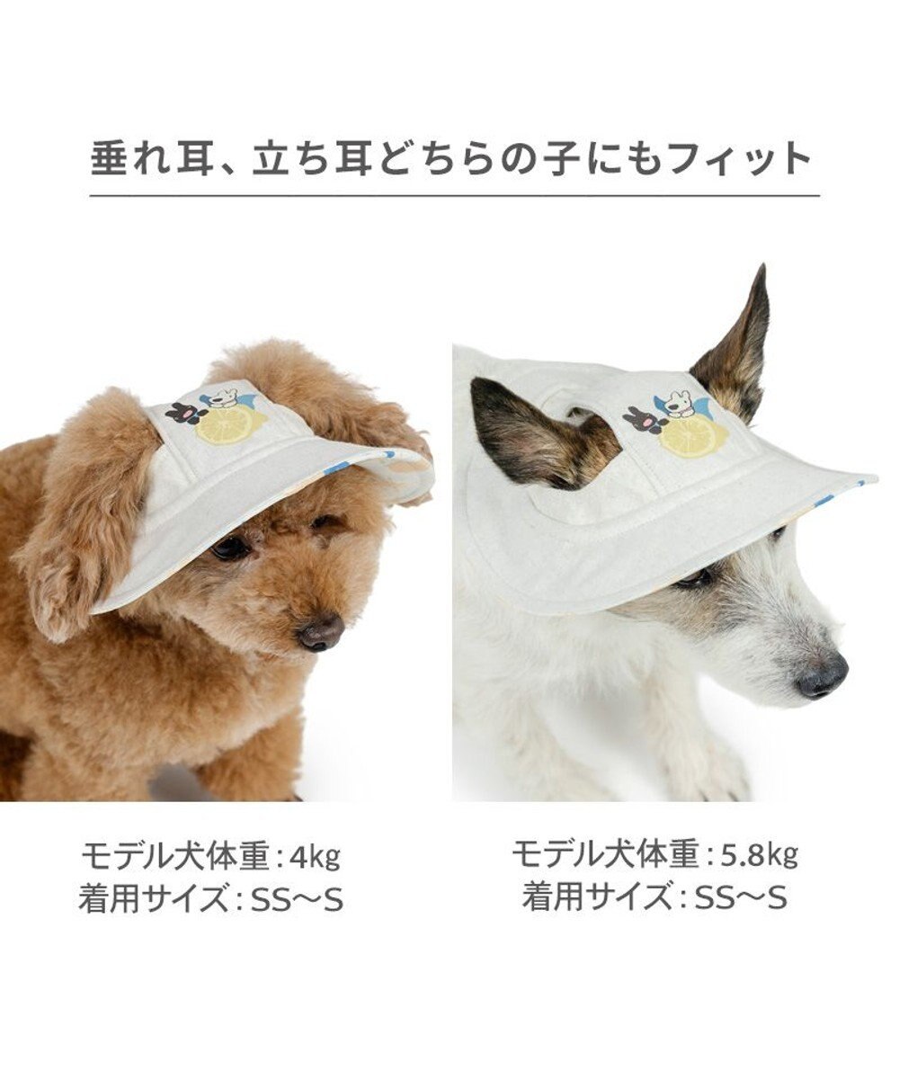 PET PARADISE リサとガスパール シトラス リネン 帽子 ４Ｓ～３Ｓ/ＳＳ～Ｓ 小型犬 