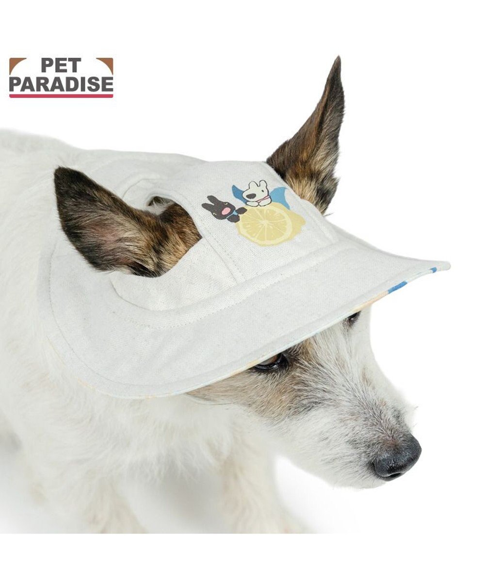 PET PARADISE リサとガスパール シトラス リネン 帽子 ４Ｓ～３Ｓ/ＳＳ～Ｓ 小型犬 