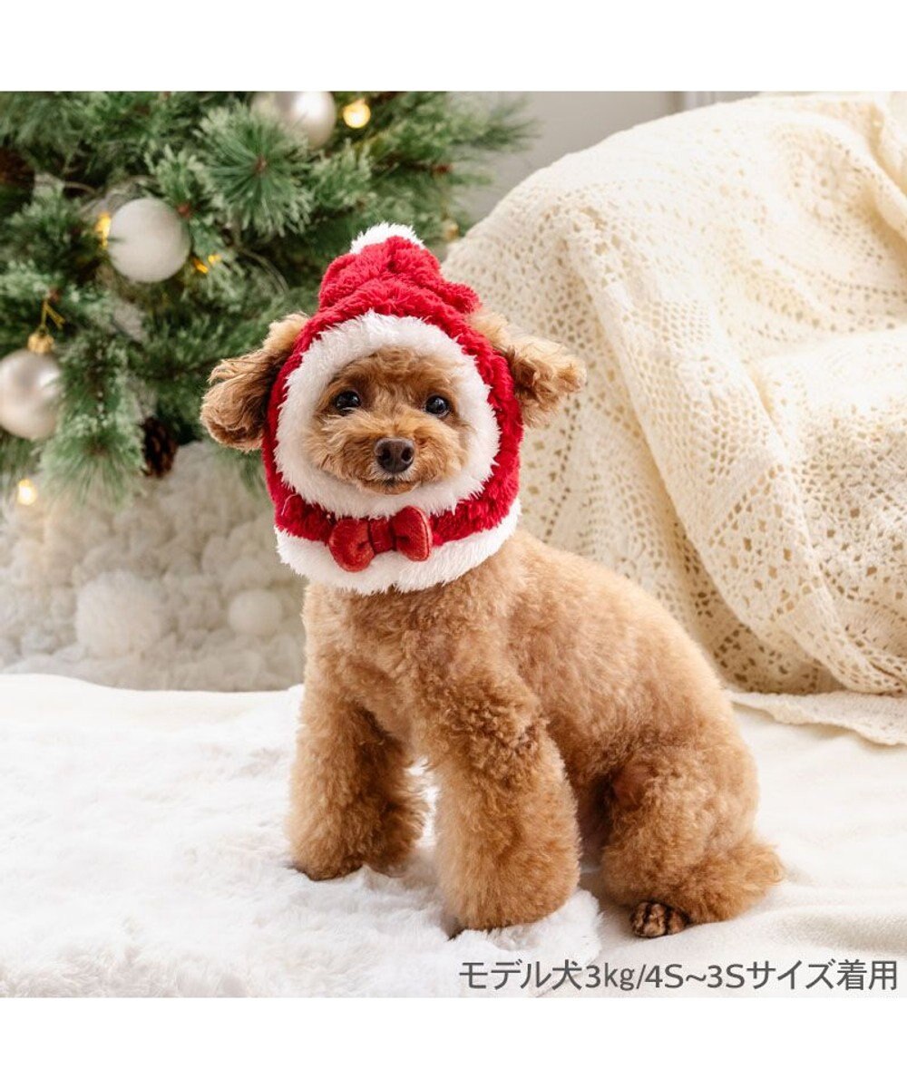 PET PARADISE ペットパラダイス サンタ 帽子 4S~3S/SS~S  2025 小型犬