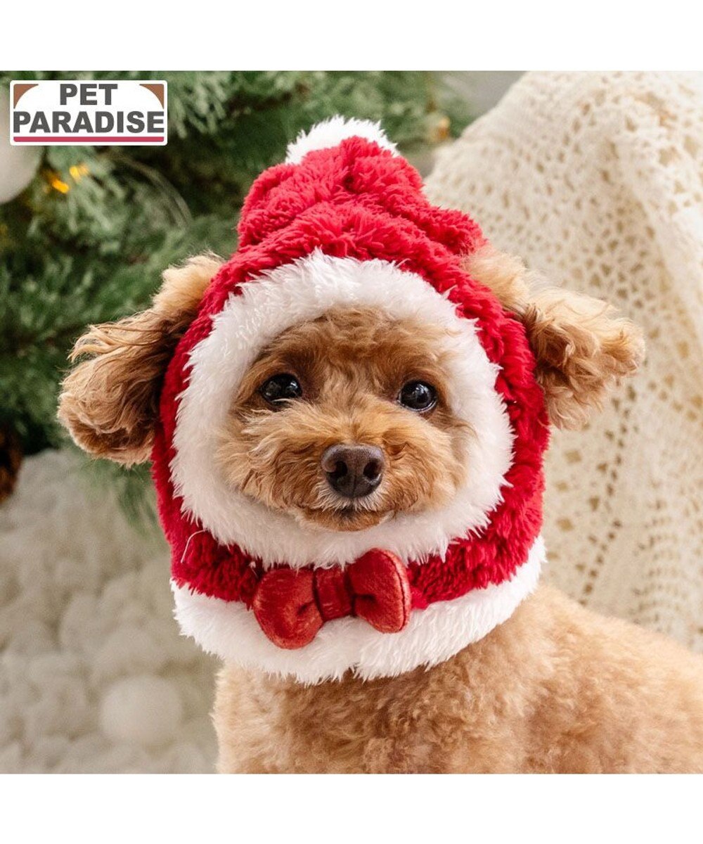 PET PARADISE ペットパラダイス サンタ 帽子 4S~3S/SS~S  2025 小型犬