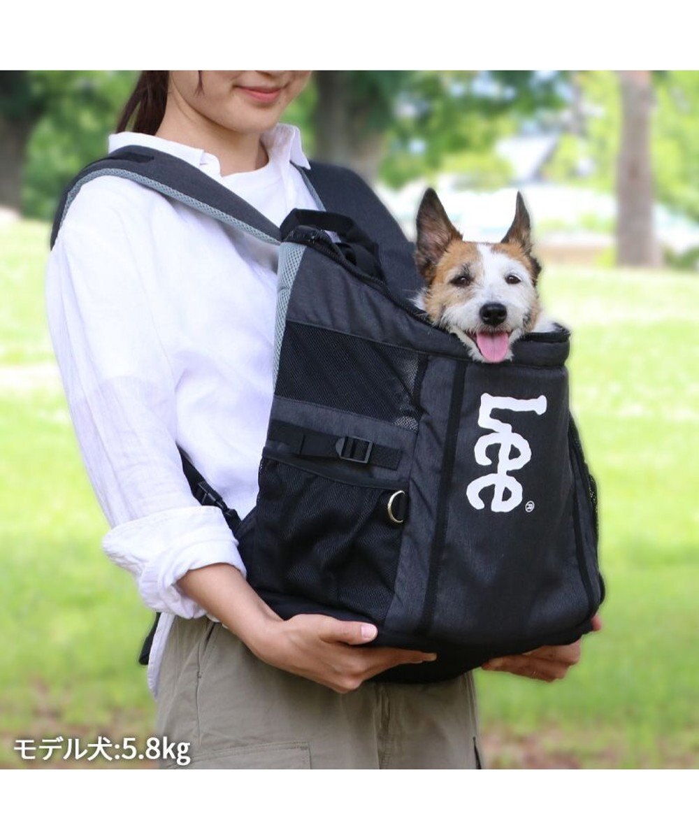 PET PARADISE Lee スクエアリュック キャリーバッグ 《ブラック》 小型犬 