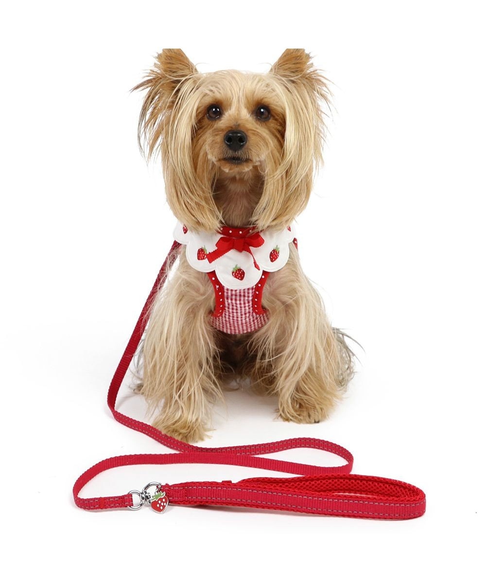 PET PARADISE ペットパラダイス ハーネス&リード  スカラップカラー《いちご柄 》 S 小型犬