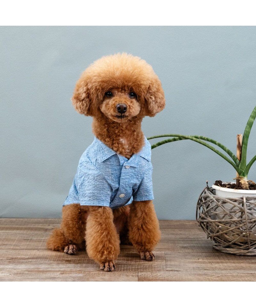 PET PARADISE J.PRESS 杢 ウェーブシャツ 《水色》 小型犬 
