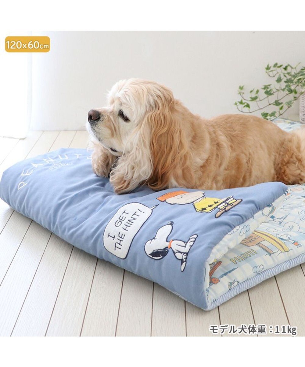 美品　JOE COOL PEANUTS 　ペットパラダイス スヌーピー ジョークールショルダーお散歩バッグ / PET PARADISE