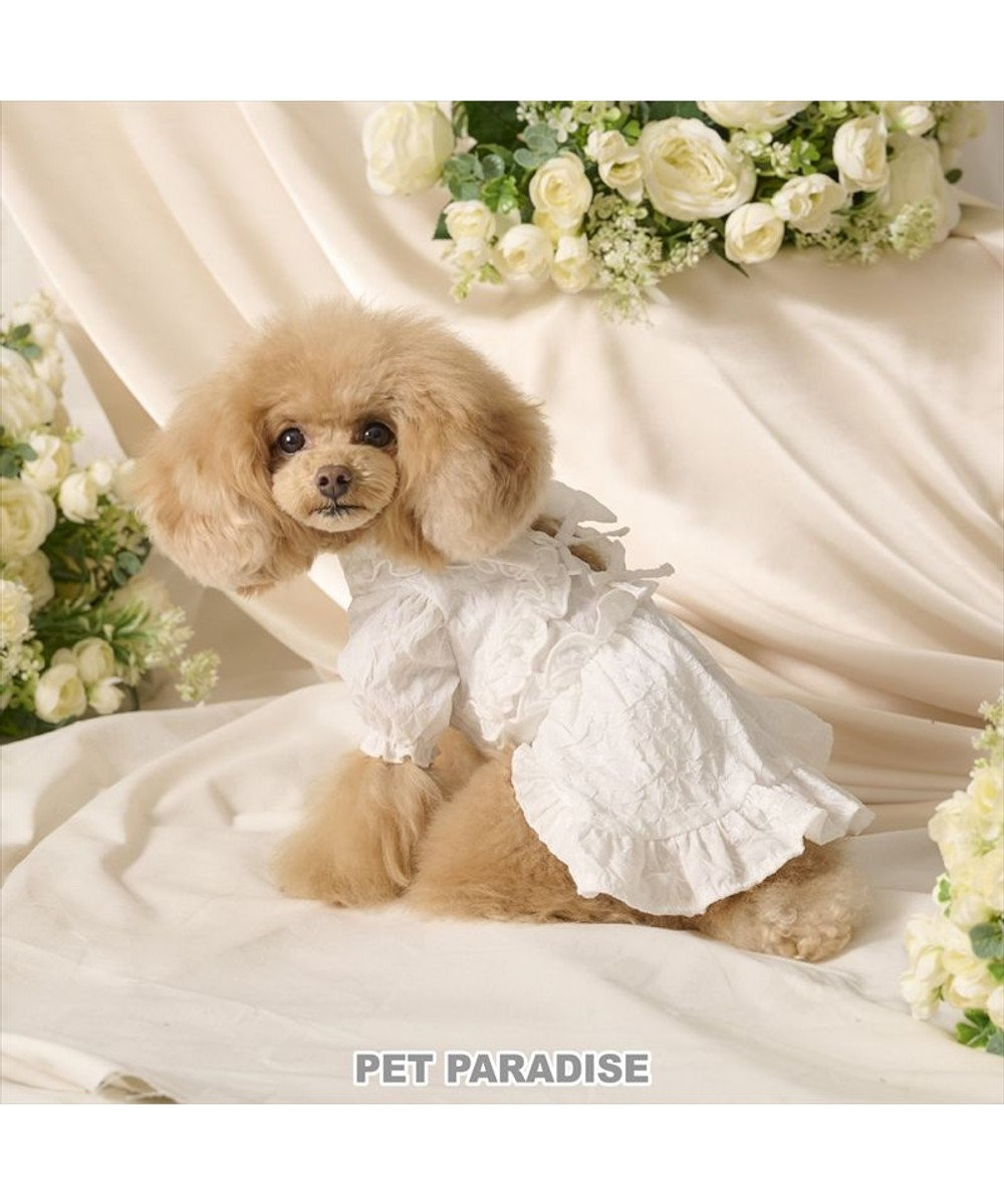 PET PARADISE cherircouture フリルリボン ワンピース 《ホワイト》 小型犬 ホワイト