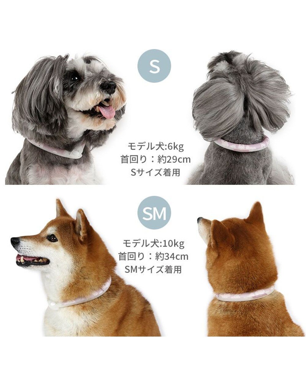 PET PARADISE ペットパラダイス 28℃クールリング  《くま》 SM 中型犬