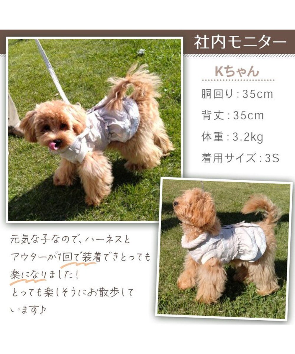 PET PARADISE ペットパラダイス ふりふり アウターハーネス 小型犬 