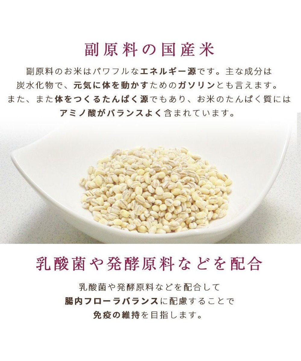 PET PARADISE ≪配合リニューアル≫  ペットパラダイス 国産 ドッグフード ビオキッチン 1kg & フローラ 1kg
