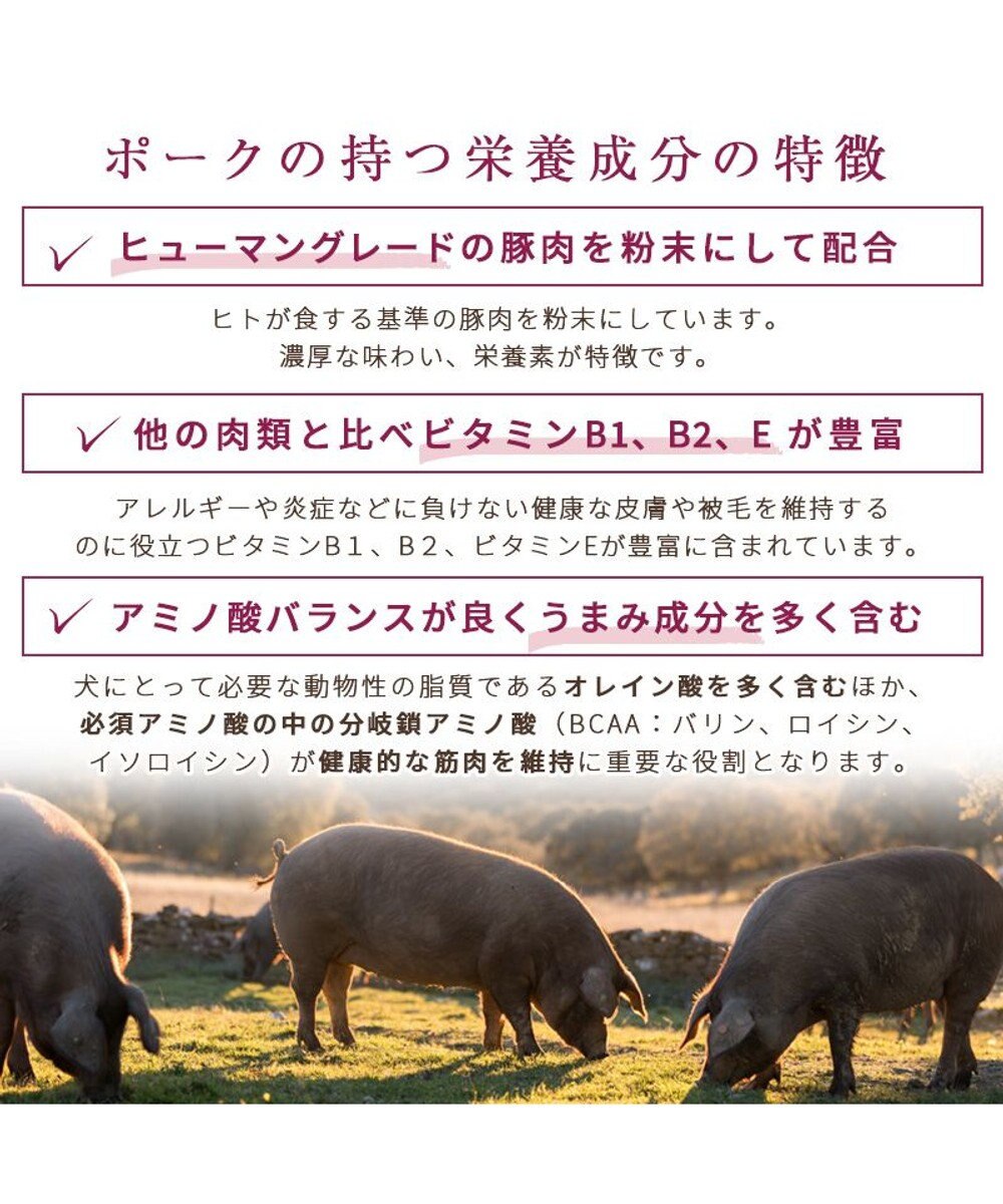 PET PARADISE ≪配合リニューアル≫  ペットパラダイス 国産 ドッグフード ビオキッチン 1kg & フローラ 1kg