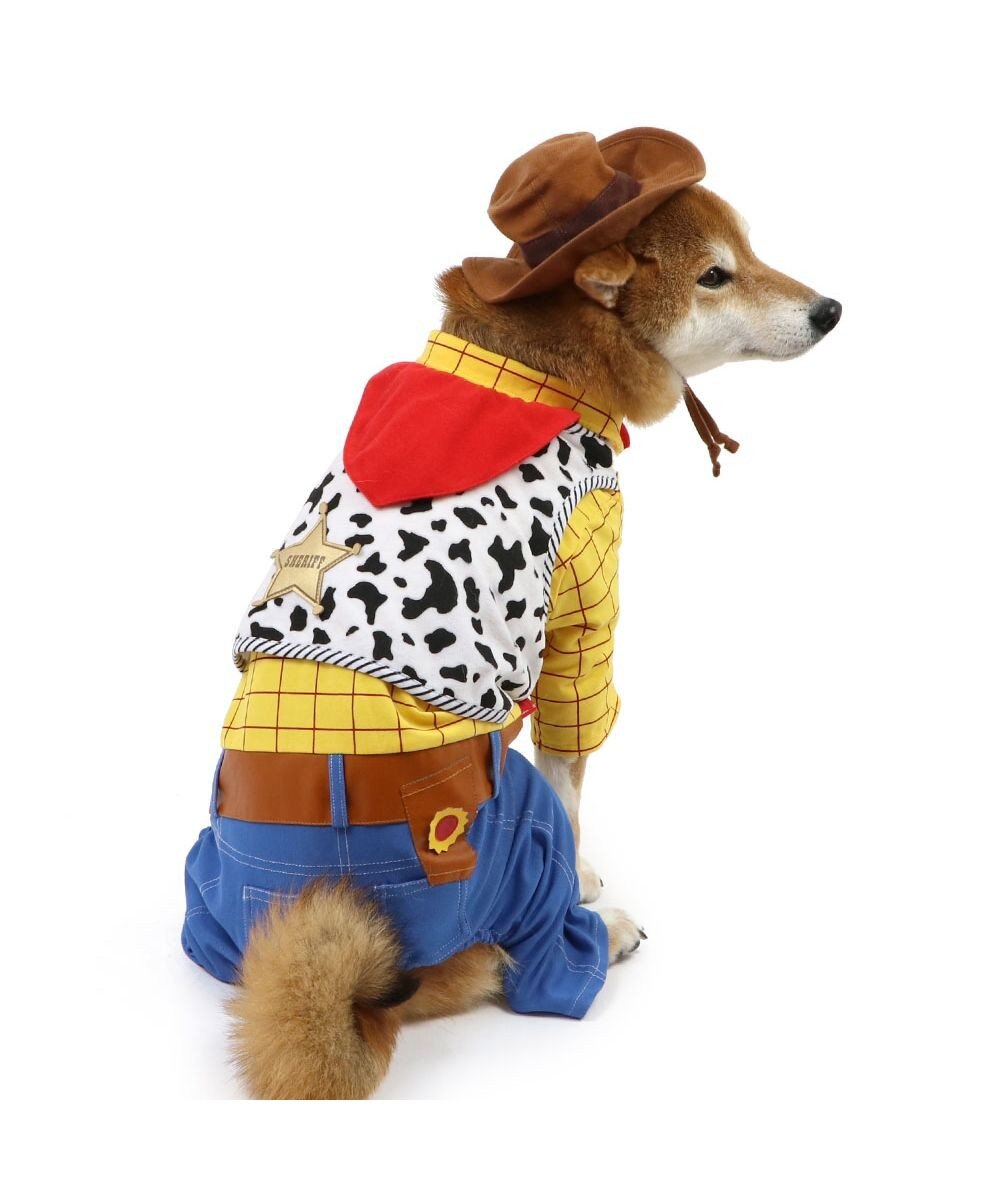 PET PARADISE ディズニー トイ・ストーリー なりきりウッディ 中型犬 