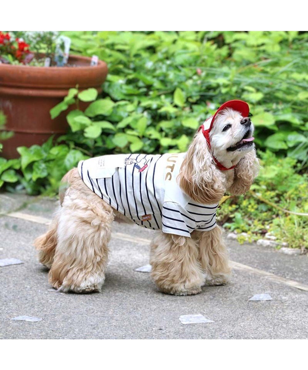 PET PARADISE スヌーピー お揃い 野球柄Ｔシャツ 【中型犬】【大型犬】《ネイビー／ホワイト》 