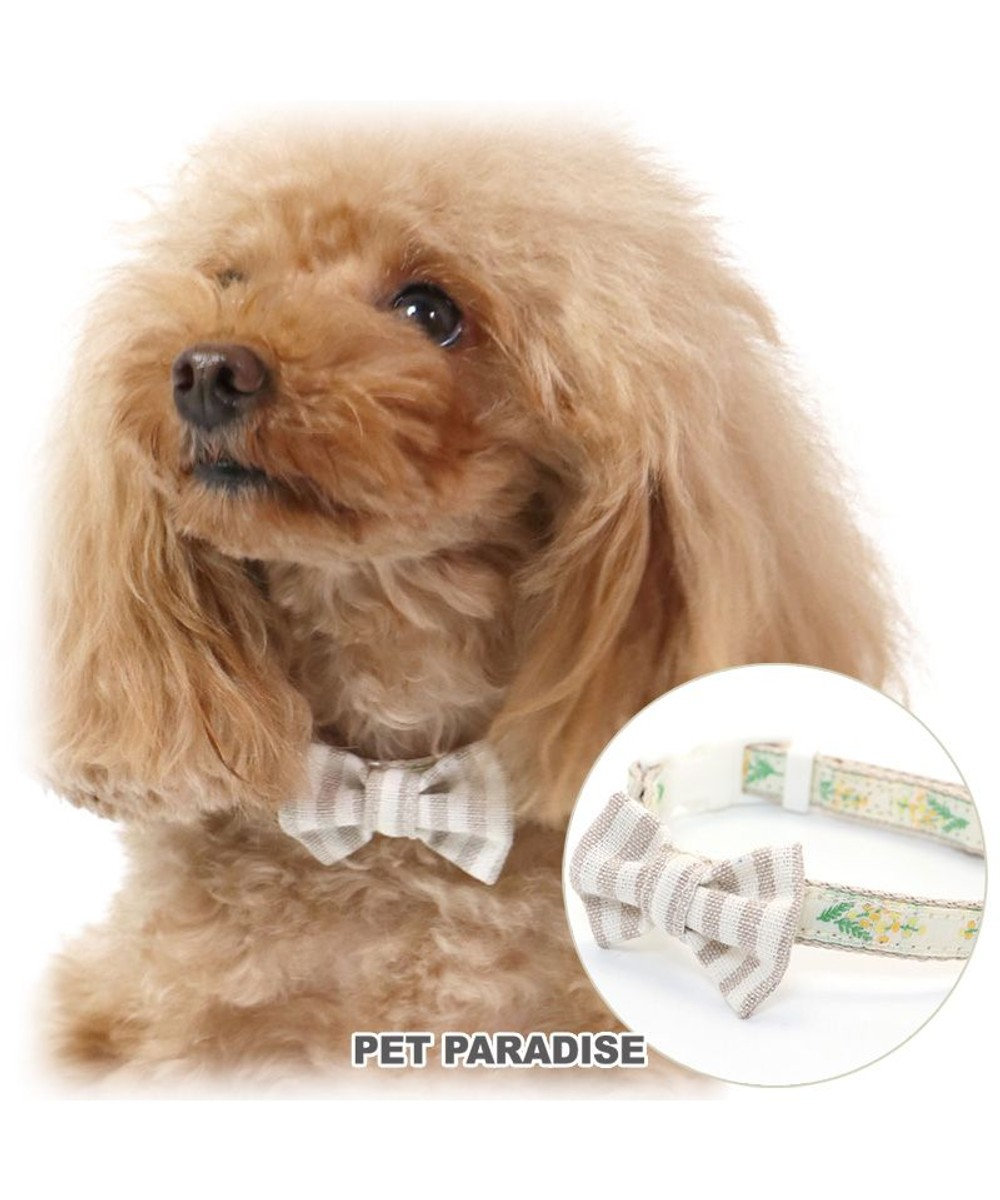 4 8 17限定お買い得フェア 犬 首輪 ss ミモザ 小型犬 おさんぽ おでかけ お出掛け おしゃれ オシャレ かわいい Pet Paradise 通販 雑貨とペット用品の通販サイト マザーガーデン ペットパラダイス 4 8 17限定お買い得フェア 犬 首輪 ss ミモザ 小型犬 おさんぽ おでかけ お出掛け おしゃれ オシャレ かわいい Pet Paradise 通販 雑貨とペット用品の通販サイト マザーガーデン ペットパラダイス